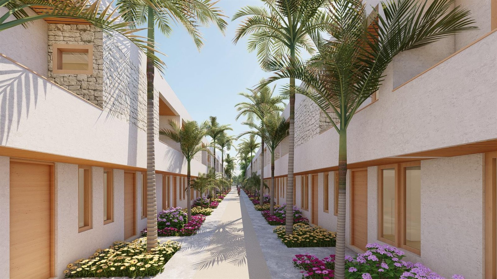 Calle interior con palmeras
